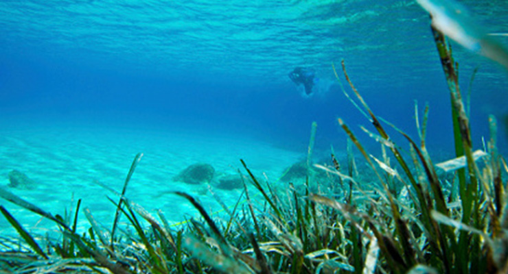 Tutela dai rischi in ambiente marino