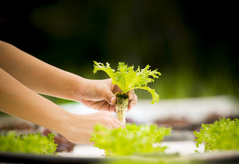 Sistemi Agricoli Innovativi