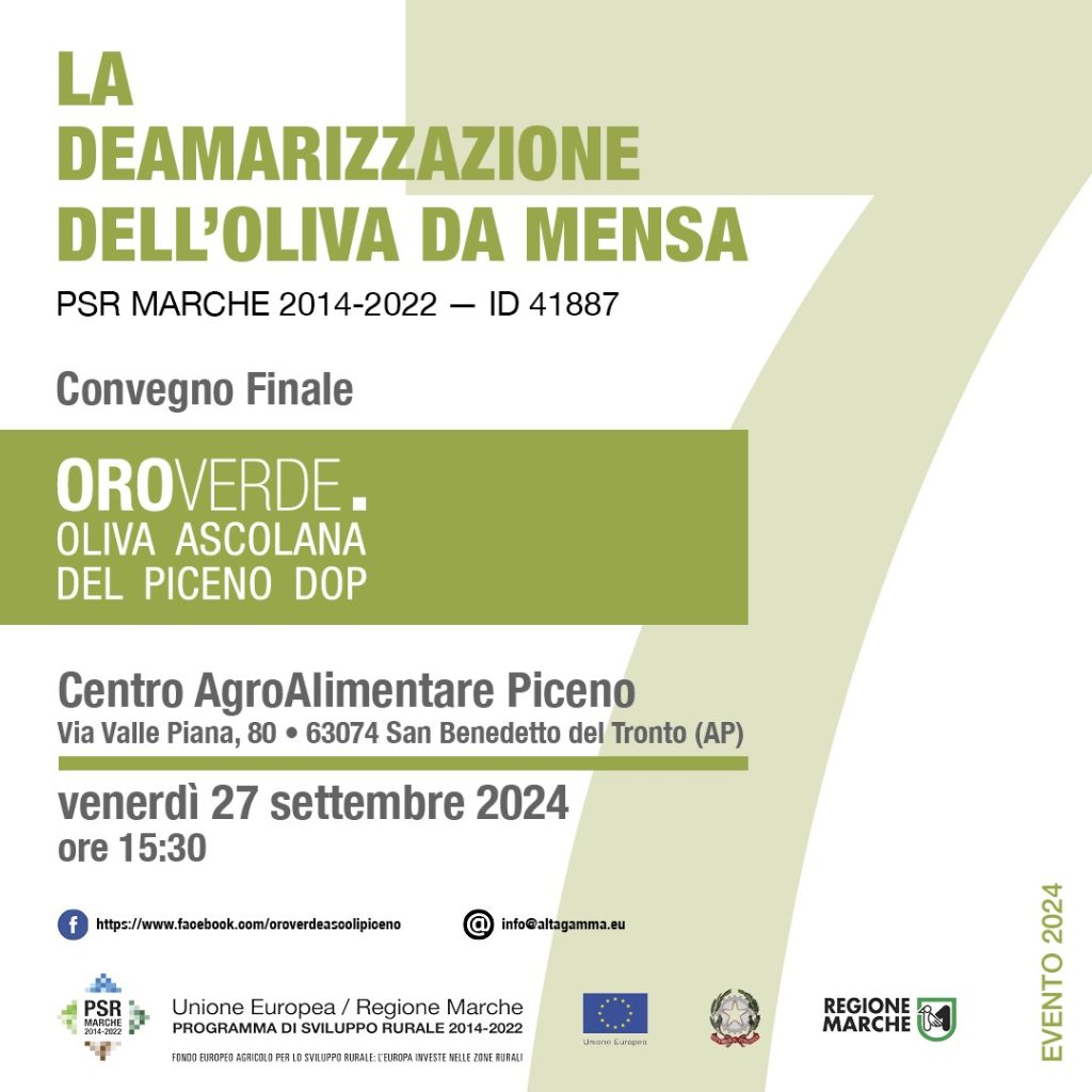LA DEAMARIZZAZIONE DELL’OLIVA DA MENSA / Progetto Oro Verde – Oliva Ascolana del Piceno DOP