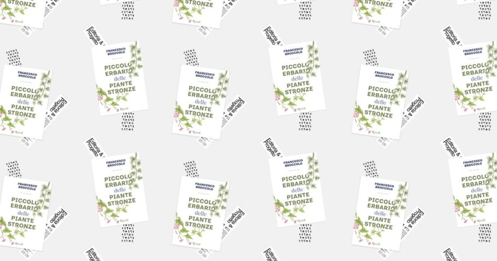 Tredicesimo incontro Editoria e Progetto