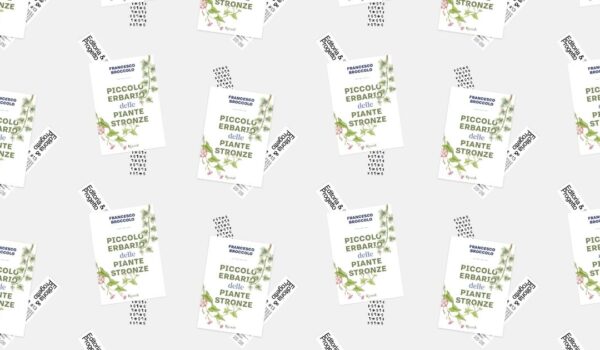 Tredicesimo incontro Editoria e Progetto