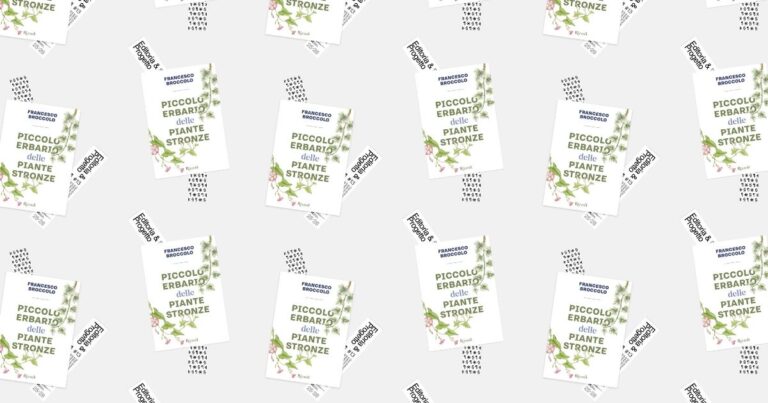 Tredicesimo incontro Editoria e Progetto