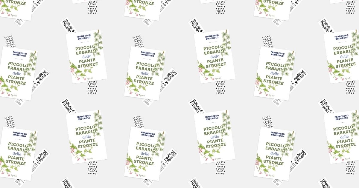 Tredicesimo incontro Editoria e Progetto